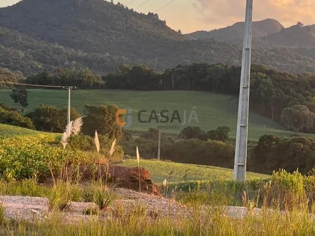 Imagem 7: CHACARA RURAL em CAMPO LARGO - PR, BATEIAS