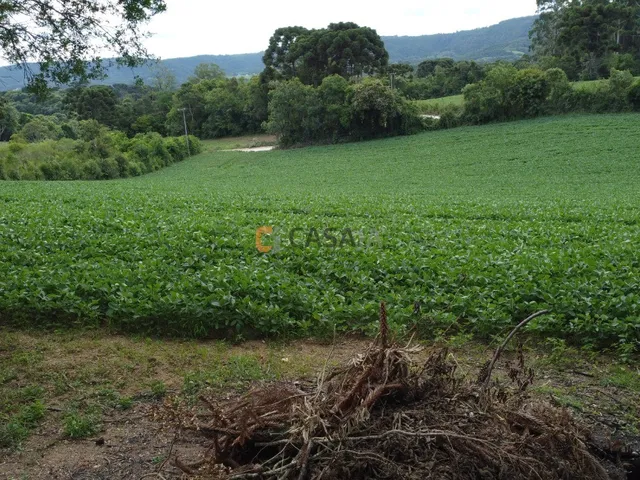 Imagem 5: TERRENO RESIDENCIAL em Balsa Nova - PR, Bugre