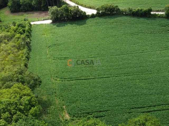 Imagem 4: TERRENO RESIDENCIAL em Balsa Nova - PR, Bugre
