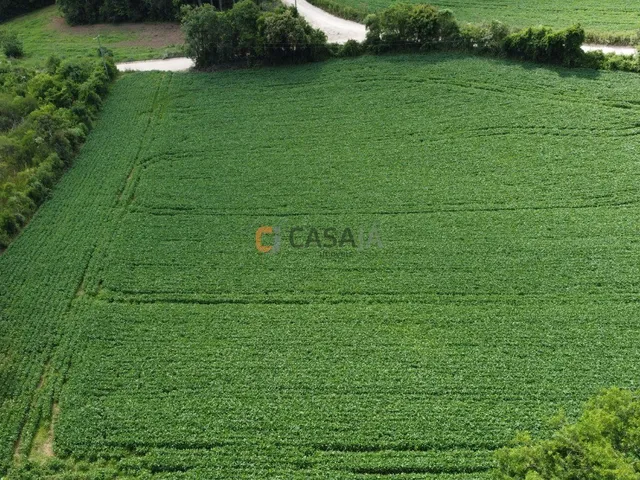 Imagem 3: TERRENO RESIDENCIAL em Balsa Nova - PR, Bugre