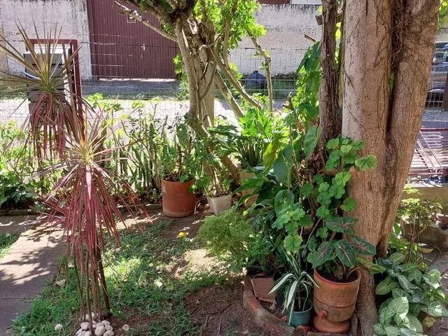 Imagem 11: APARTAMENTO - Porto Alegre
