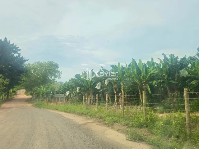 Imagem 16: Fazenda à venda com 24 alqueires em Cariacica/ES, casa sede de alto padrão, piscina