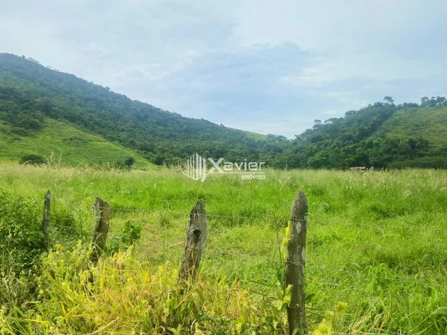 Imagem 4: Fazenda à venda com 24 alqueires em Cariacica/ES, casa sede de alto padrão, piscina