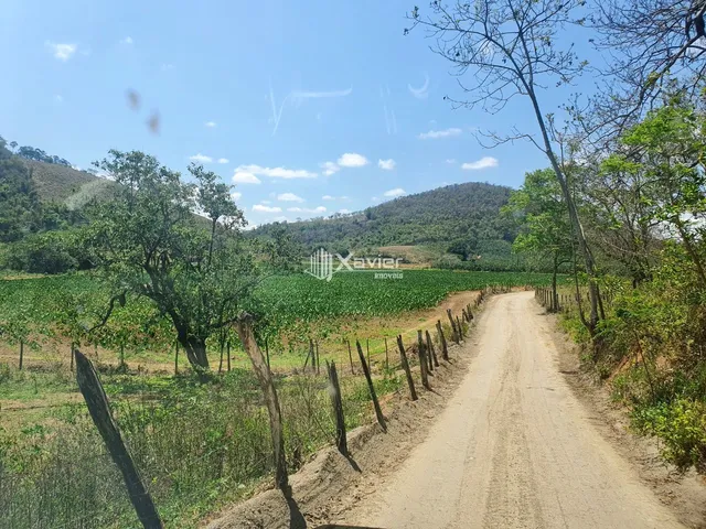 Imagem 3: Fazenda à venda com 24 alqueires em Cariacica/ES, casa sede de alto padrão, piscina