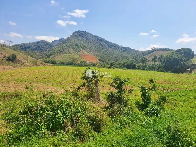 Imagem 9: Fazenda à venda com 24 alqueires em Cariacica/ES, casa sede de alto padrão, piscina
