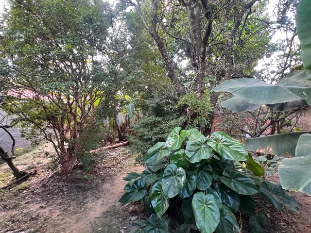 Imagem 4: CASA - RIBEIRÃO DAS NEVES
