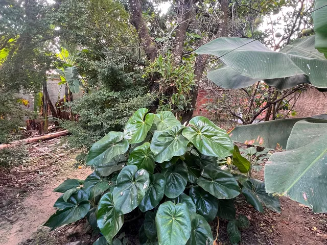 Imagem 16: CASA - RIBEIRÃO DAS NEVES