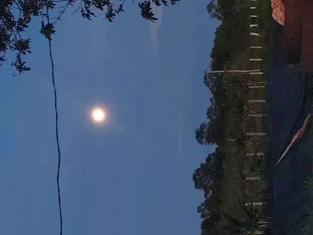 Imagem: Vendo uma hectare de terra, localizada no