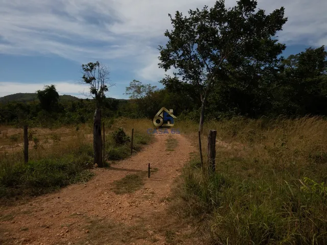 Imagem 3: Sítio à venda na Guia - Cuiabá/MT