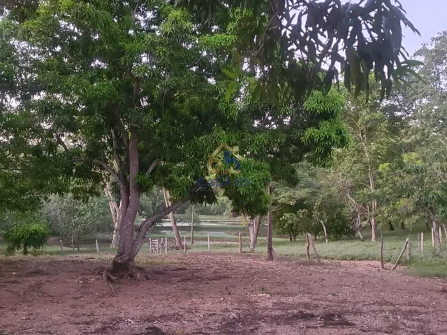 Imagem 11: Sítio à venda na Guia - Cuiabá/MT