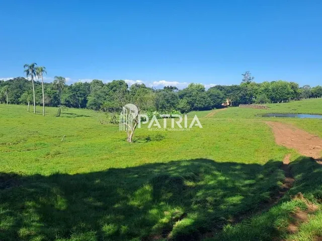 Imagem: Propriedade com 20 Hectares em Passo do