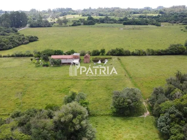 Imagem: ÁREA RURAL COM 12 HECTARES EM LINHA CAPÃO