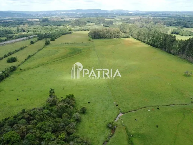 Imagem 6: ÁREA RURAL COM 12 HECTARES EM LINHA CAPÃO, VERA CRUZ