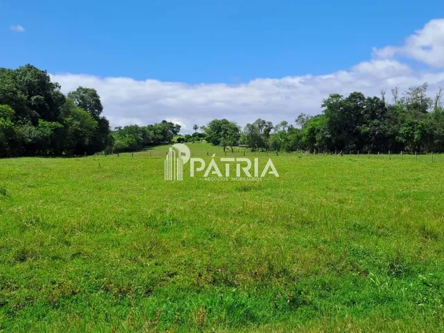 Imagem 15: ÁREA RURAL COM 12 HECTARES EM LINHA CAPÃO, VERA CRUZ
