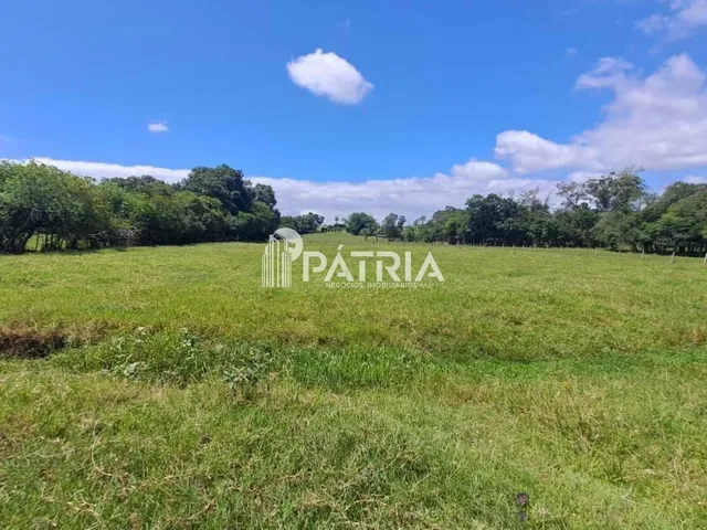 Imagem 12: ÁREA RURAL COM 12 HECTARES EM LINHA CAPÃO, VERA CRUZ