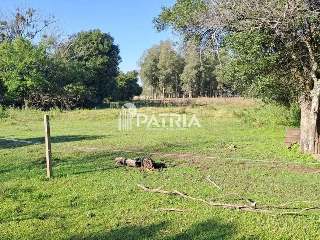 Imagem 9: CHÁCARA EM CERRO ALEGRE BAIXO-SANTA CRUZ DO SUL