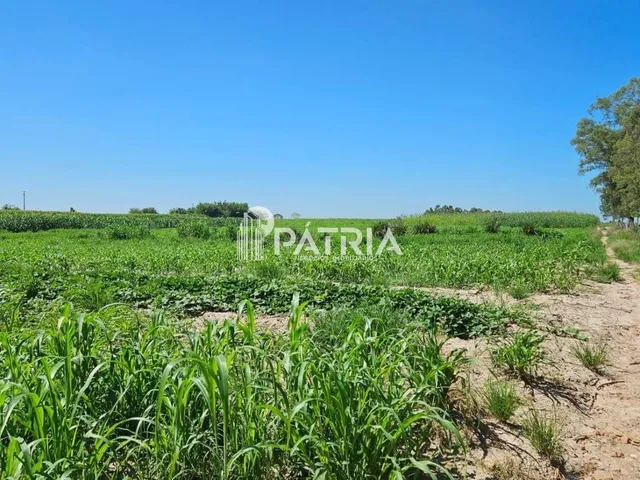 Imagem 7: CHÁCARA VALE DO SOL