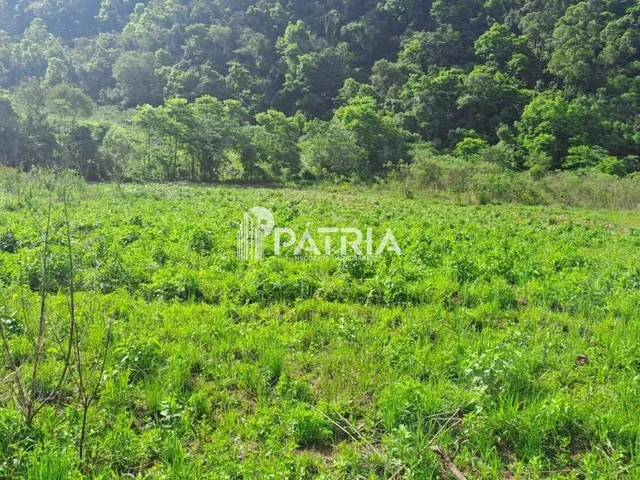 Imagem 6: Propriedade com 14 ha em Vale do sol