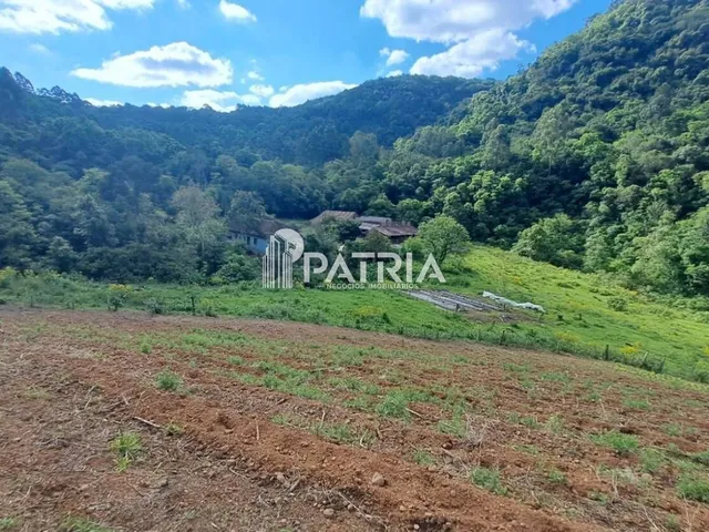 Imagem 7: Propriedade com 14 ha em Vale do sol