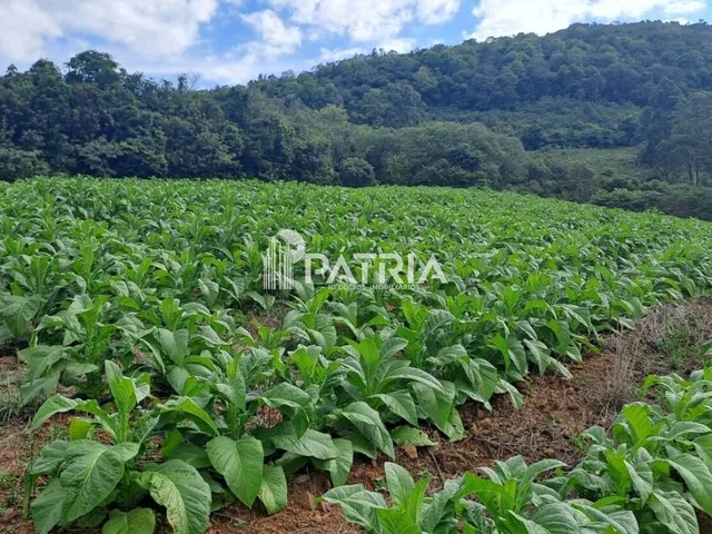 Imagem 3: Propriedade com 14 ha em Vale do sol