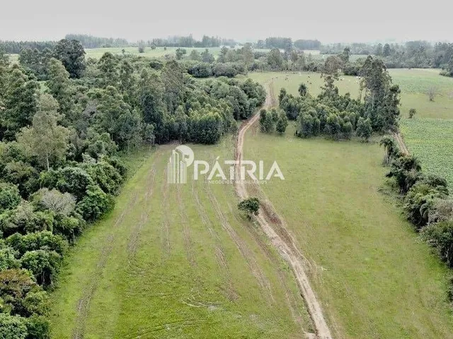 Imagem 3: CHÁCARA CO 21 HECTÁRES-VERA CRUZ