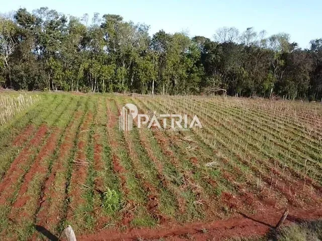 Imagem 2: Terreno à venda no bairro João Alves em Santa Cruz do Sul/RS