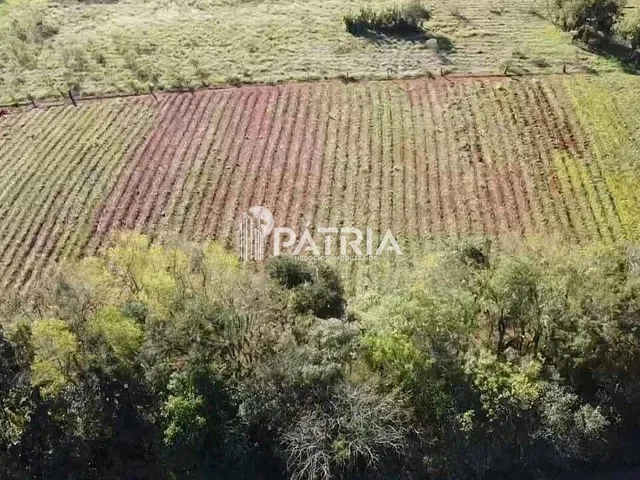Imagem 3: Terreno à venda no bairro João Alves em Santa Cruz do Sul/RS