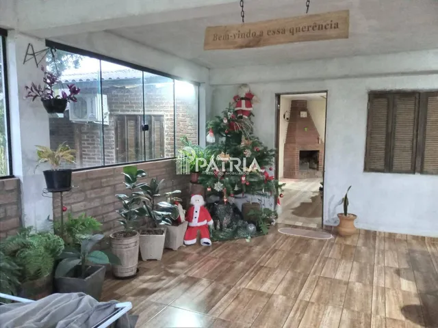 Imagem 14: Chácara em Cerro Alegre Alto