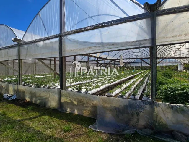 Imagem 6: PROPRIEDA COM 5 HECTÁRES-VERA CRUZ