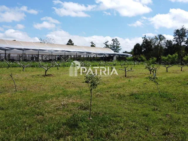 Imagem 13: PROPRIEDA COM 5 HECTÁRES-VERA CRUZ