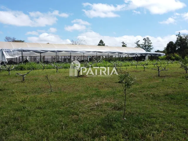 Imagem 2: PROPRIEDA COM 5 HECTÁRES-VERA CRUZ