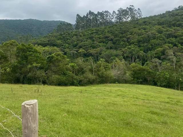 Imagem 8: ÁREA RURAL RESIDENCIAL em PAULO LOPES - SC, Penha