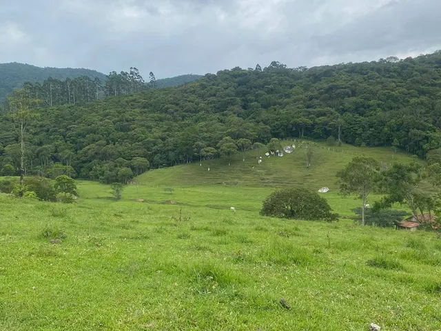 Imagem 3: ÁREA RURAL RESIDENCIAL em PAULO LOPES - SC, Penha