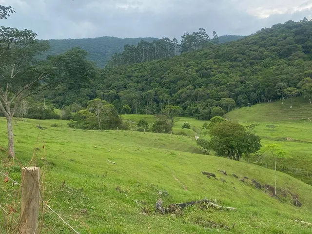 Imagem 9: ÁREA RURAL RESIDENCIAL em PAULO LOPES - SC, Penha