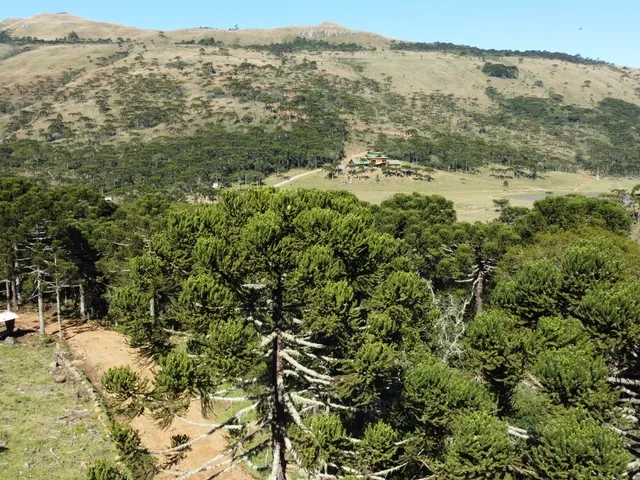 Imagem: AREA RESIDENCIAL em URUBICI - SC, Vacas