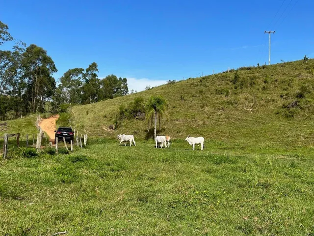 Imagem 5: AREA RESIDENCIAL em IMARUÍ - SC, Aratingaúba