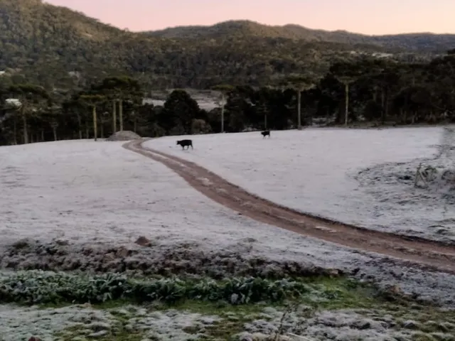 Imagem: AREA RESIDENCIAL em URUBICI - SC, Vacas