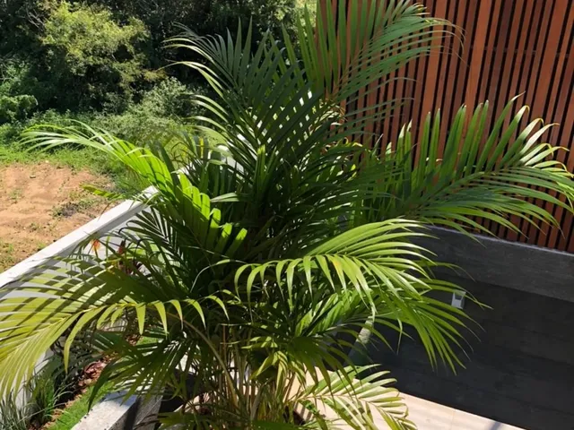 Imagem 16: SOBRADO RESIDENCIAL em GAROPABA - SC, Jardim Panorâmico