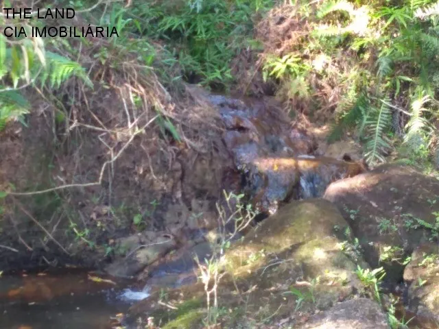 Imagem 14: ÁREA RURAL RESIDENCIAL em GAROPABA - SC, Ressacada