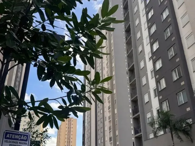 Imagem: APARTAMENTO A VENDA EM SP BELENZINHO