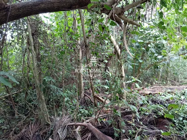 Imagem 5: TERRENO RESIDENCIAL em COTIA - SP, PARQUE DOM HENRIQUE