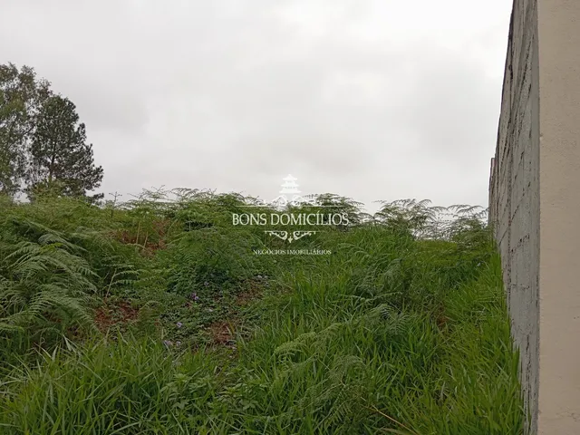 Imagem 12: TERRENO RESIDENCIAL em COTIA - SP, PARQUE DOM HENRIQUE