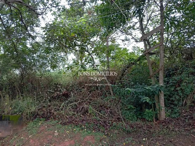 Imagem 13: TERRENO RESIDENCIAL em COTIA - SP, PARQUE DOM HENRIQUE