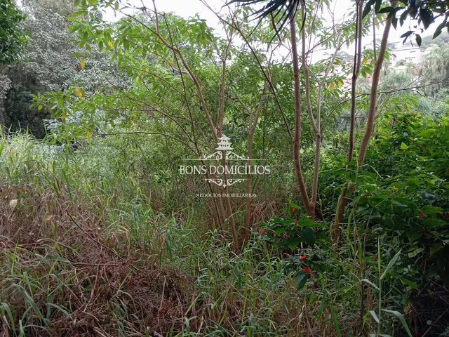 Imagem 10: TERRENO RESIDENCIAL em COTIA - SP, PARQUE DOM HENRIQUE
