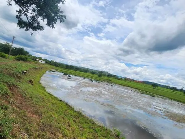 Imagem 2: CHÁCARA COMPLETA, COM 4 CASAS, RIACHO COM ÁGUA CORRENTE CRISTALINA E 4 TANQUES DE PEIXES