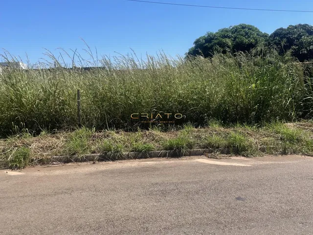 Imagem 7: Terreno à venda Anápolis City Anápolis/GO
