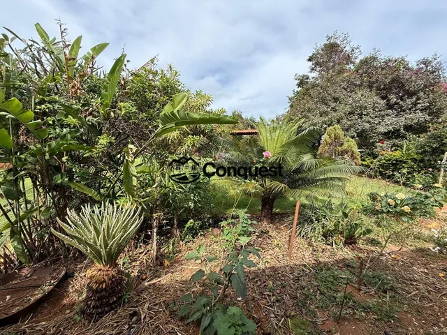 Imagem 11: LINDA CHÁCARA EM BRUMADINHO - DIVISA - IGARAPÉ 5.700 m² 7 QUARTOS PISCINA