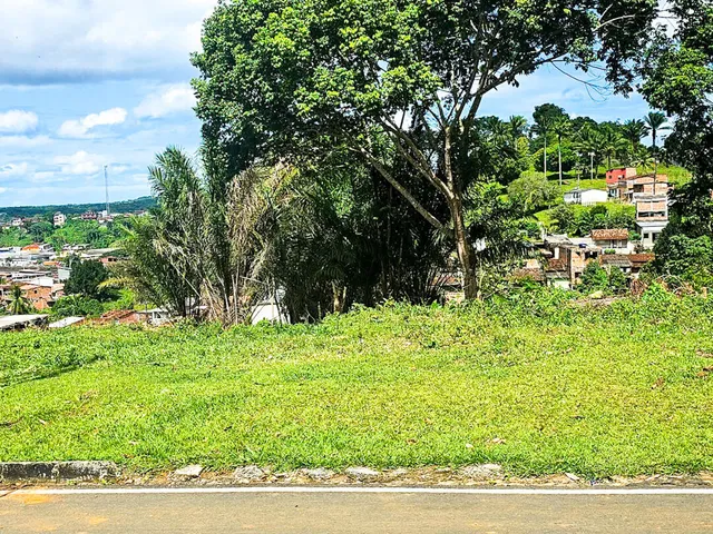 Imagem 3: Terreno em Tio Virgínio, Valença/BA