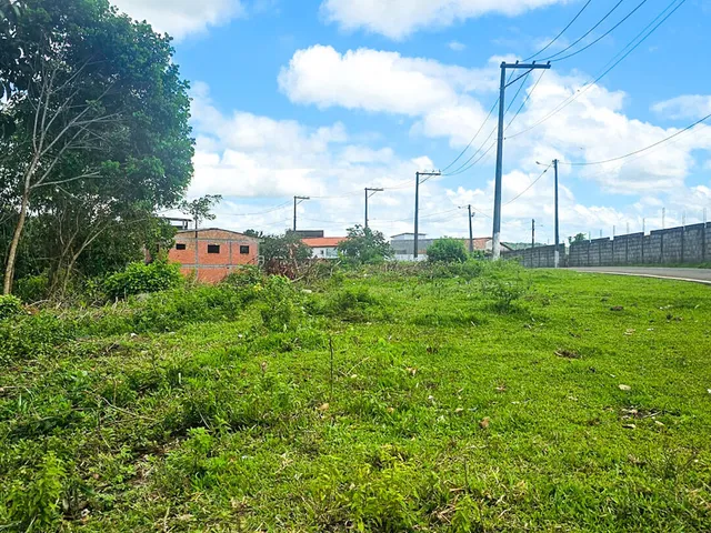 Imagem 5: Terreno em Tio Virgínio, Valença/BA