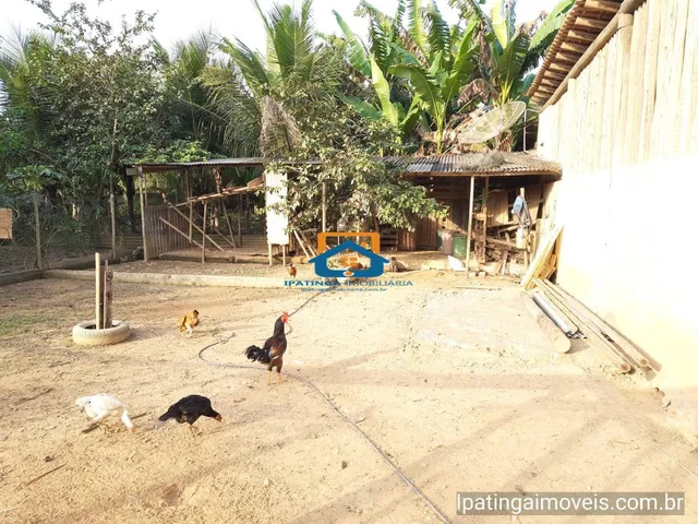 Imagem 7: Chácara de 3 quartos no Residencial Porto Seguro - Caratinga